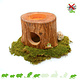 Tree Trunk Exotic Paradise Mahogany House 11 cm