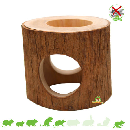 Tree Trunk Exotic Paradise for Rodents!