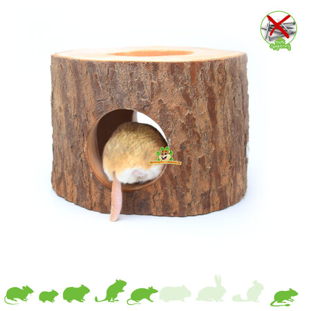 Tree Trunk Exotic Paradise for Rodents!