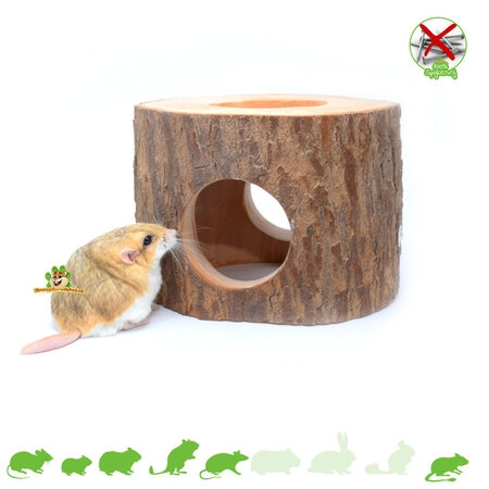 Tree Trunk Exotic Paradise Mahogany House 11 cm