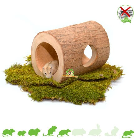 Tunel z pnia drzewa Wongan 23 cm dla gryzoni!