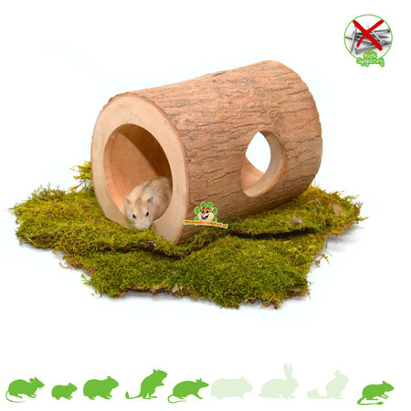 Wongan Baumstammtunnel 23 cm für Nagetiere!