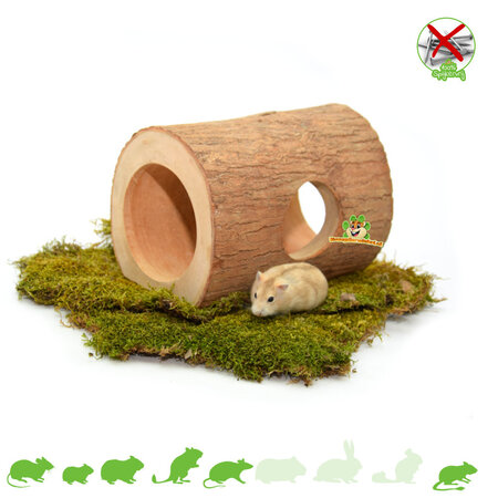 Wongan Tree Trunk Tunnel 23 cm for Rodents!