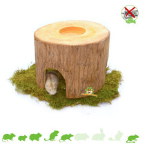 Timpuseng tree trunk 18 cm