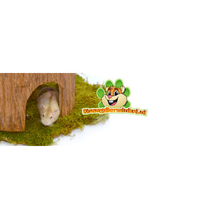 Tronc d'arbre Timpuseng Cave Acajou 18 cm