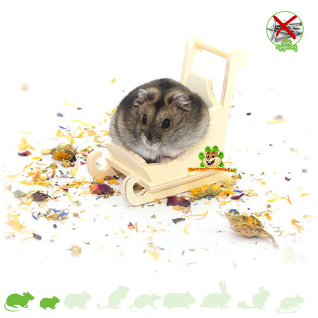 Knaagdierwinkel® Hamsterscaping Deco Houten Slee 9 cm