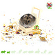Knaagdierwinkel® Hamsterscaping Déco Traîneau en Bois 9 cm