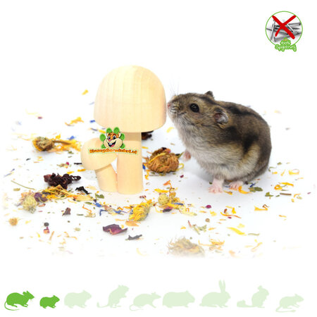 Knaagdierwinkel® Hamsterscaping Deco Holzpilze 8,5 cm