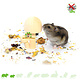 Knaagdierwinkel® Champignons décoratifs en bois pour hamsters, 8,5 cm