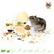 Knaagdierwinkel® Hamsterscaping Deco Setas de Madera 8,5 cm