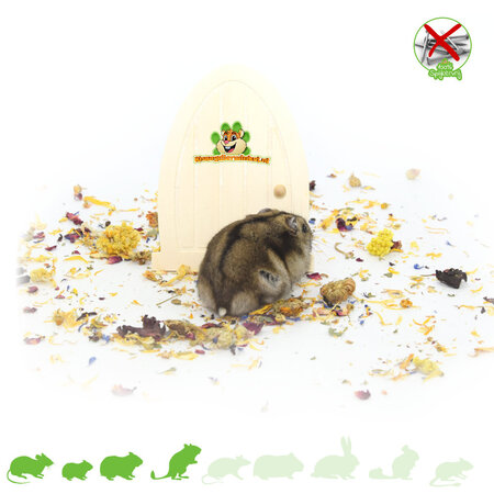 Knaagdierwinkel® Porte décorative Hamsterscaping vers le pays des fées 13 cm