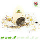 Knaagdierwinkel® Drzwi dekoracyjne Hamsterscaping do Krainy Wróżek 13 cm