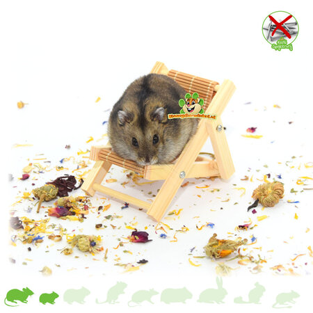 Knaagdierwinkel® Składane krzesło z drewna Hamsterscaping Deco 9,5 cm