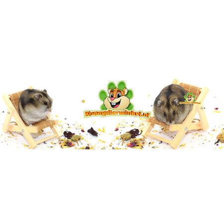 Knaagdierwinkel® Składane krzesło z drewna Hamsterscaping Deco 9,5 cm