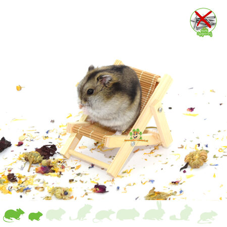 Knaagdierwinkel® Hamsterscaping Deco Klappstuhl aus Holz, 9,5 cm