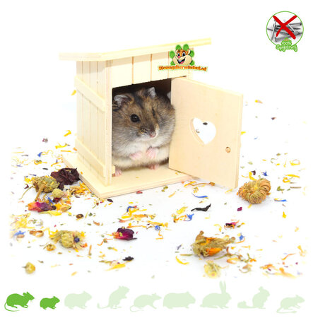 Knaagdierwinkel® Hamsterscaping Deco Houten Dixie 8 cm