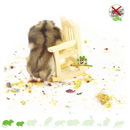Knaagdierwinkel® Chaise décorative en bois pour hamsters, 9 cm