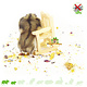 Knaagdierwinkel® Hamsterscaping Deco Holzstuhl 9 cm