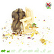 Knaagdierwinkel® Krzesło drewniane dekoracyjne Hamsterscaping 9 cm