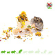 Knaagdierwinkel® Brouette en bois décorative pour hamsters, 11 cm