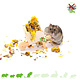 Knaagdierwinkel® Drewniana taczka Hamsterscaping Deco 11 cm