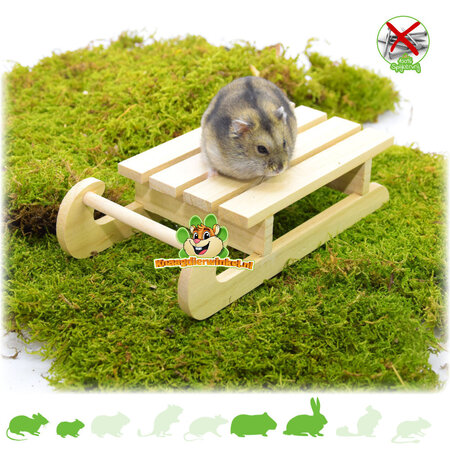 Knaagdierwinkel® Chomik dekoracyjny Mega Sled 19,5 cm