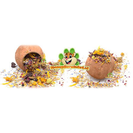 Knaagdierwinkel® Kokosnoot 12 cm voor Knaagdieren & Konijnen!