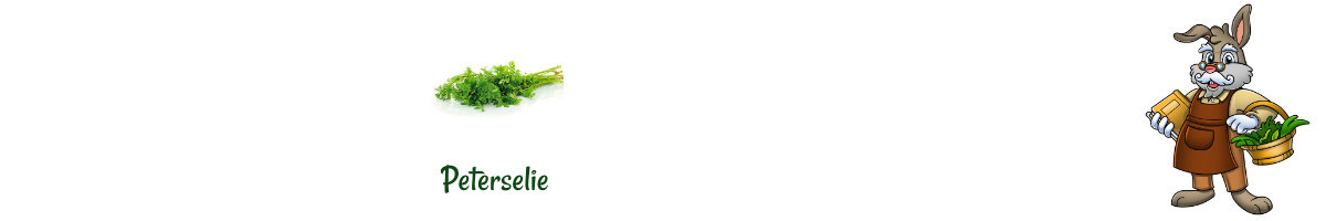 Petersilie Nagetier Grocer Petersilienpellets – Frische Petersilienpellets für Meerschweinchen, Kaninchen, Chinchillas, Degus – Gesunder Snack für pflanzenfressende Nagetiere