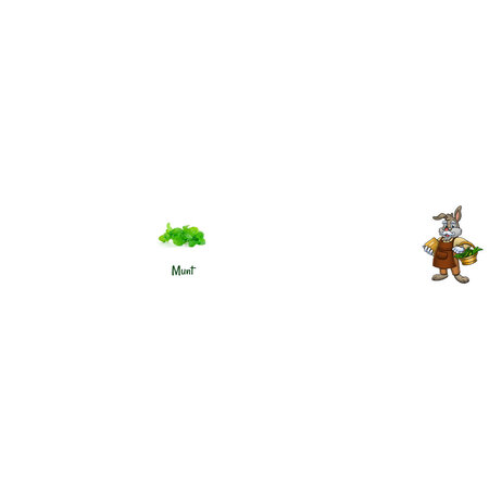 Knaagdier Kruidenier Suszone łodygi mięty 100 gramów