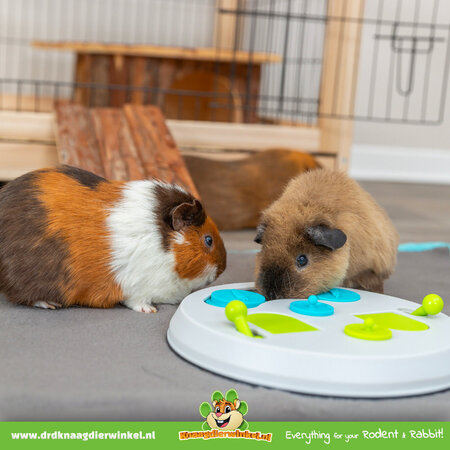 Trixie Strategy Game Flip Board Rodent Foraging Toy