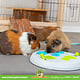 Trixie Flip Board Strategy Game for Rats, Guinea Pigs & Rabbits