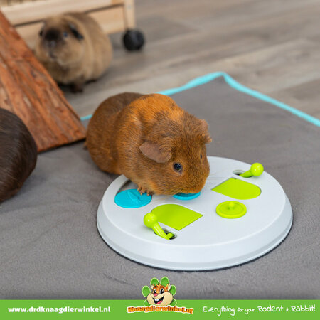 Trixie Strategy Game Flip Board Rodent Foraging Toy