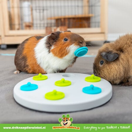 Trixie Snack Bord Foerageerspeelgoed voor Knaagdieren & Konijnen