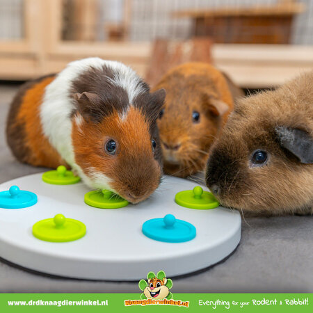 Trixie Juguetes de forrajeo con plato de refrigerio