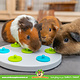 Trixie Snack Board Foraging Toy for Rodents & Rabbits