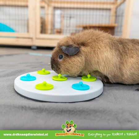 Trixie Snack Bord Foerageerspeelgoed voor Knaagdieren & Konijnen