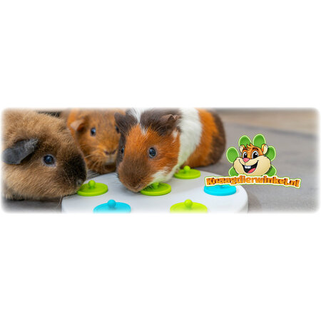 Trixie Snack Bord Foerageerspeelgoed voor Knaagdieren & Konijnen