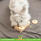 Trixie Snackbox aus Holz, 14 cm, für Nagetiere