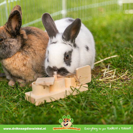 Trixie Wooden Snack Cups 15 cm for Rodents and Rabbits