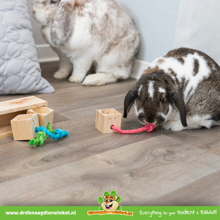 Trixie  ¡Juego de búsqueda de alimento con bloques de snack para roedores y hurones!