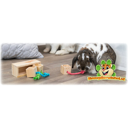 Trixie  Jeu de recherche de nourriture Snack Blocks pour rongeurs et furets !