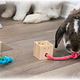 Trixie  Snack Blocks Foraging Game for Rodents & Ferrets!