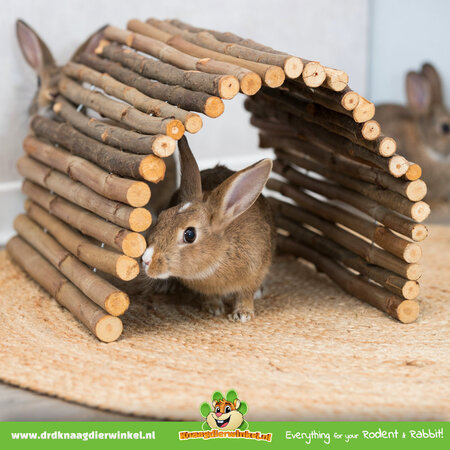 Trixie ¡Puente Trixie Willow para roedores, conejos y hurones!