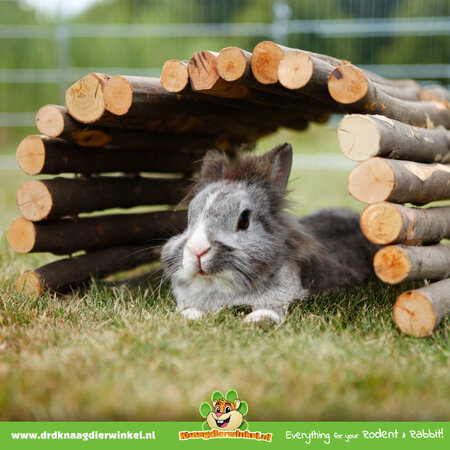 Trixie Trixie Willow Bridge for Rodents, Rabbits & Ferrets!