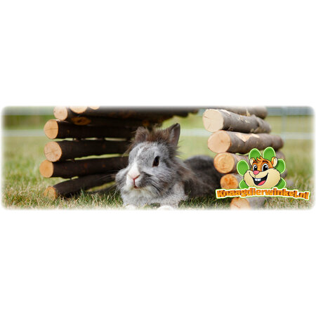 Trixie Weidenbrücke 65 cm für Nagetiere, Kaninchen und Frettchen