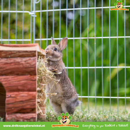 Trixie Huis Ila 40 cm met Hooiruif voor Cavia’s & Kleine Konijnen