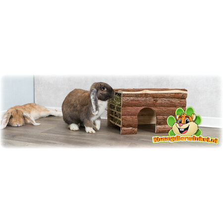 Trixie House Ila 40 cm with Hay Rack for Guinea Pigs & Small Rabbits