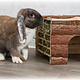 Trixie Huis Ila 40 cm met Hooiruif voor Cavia’s & Kleine Konijnen