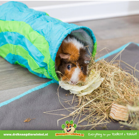 Trixie Kuscheltunnel für Nagetiere, 35 cm, für Meerschweinchen, Ratten und Frettchen