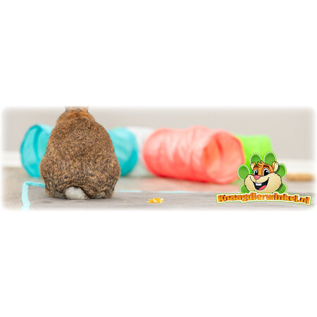 Trixie Kaninchentunnel T-Bunger 47 cm für Meerschweinchen, Ratten & Frettchen